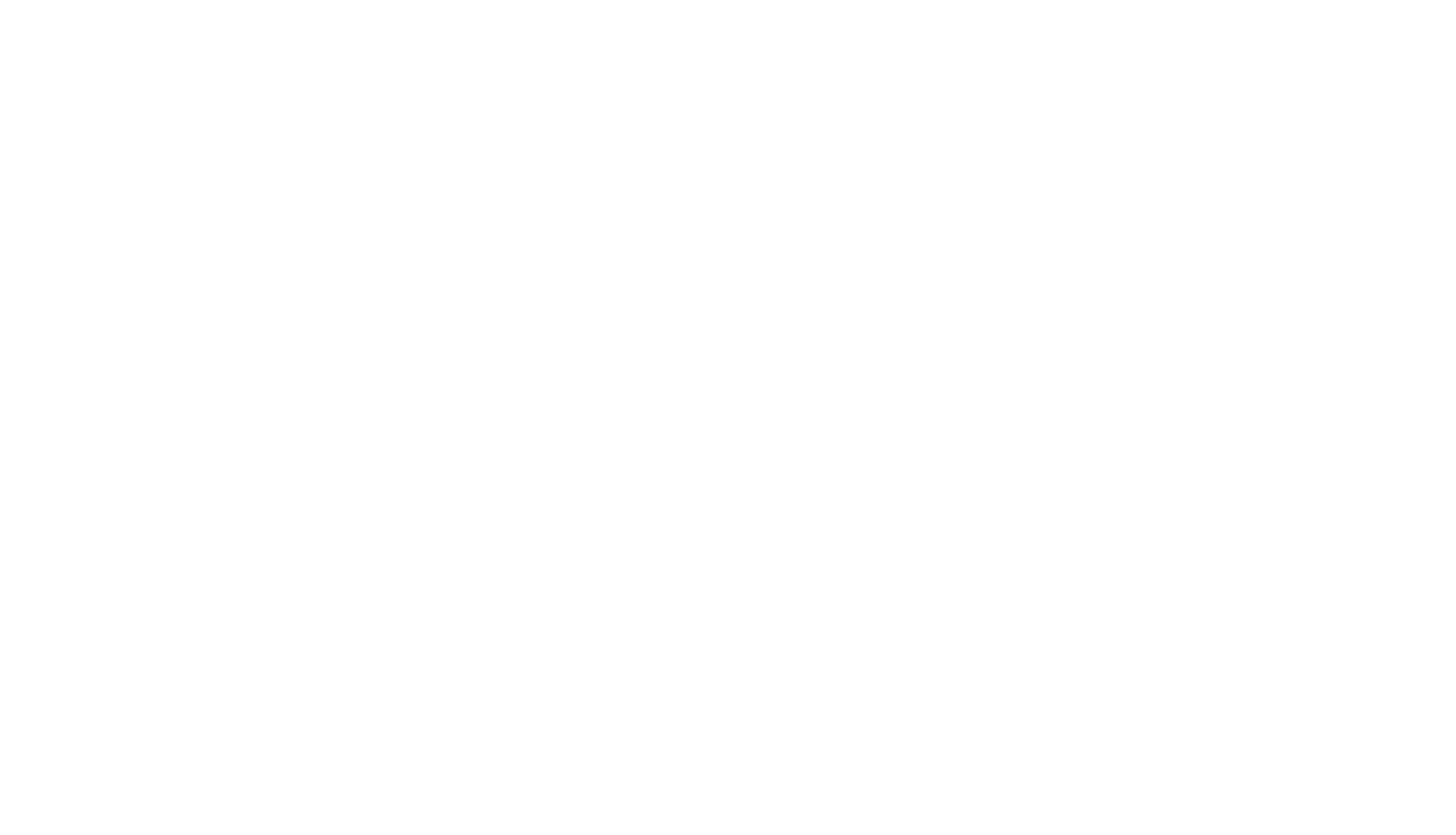 Fundación Bochinche